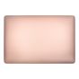 MacBookAir 13" Retina (A2337 / Late 2020) (Gold) Complete LCD Display Assembly