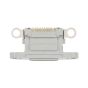 iPhone 13 Pro / 13 Pro Max Charging Port (Silver) - 10 Pack