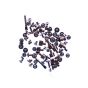 iPhone 13 Pro Complete Screw Set