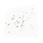 iPhone 13 Pro Max Display Screw Kit (Service Pack)