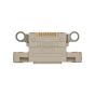 iPhone 14 / 14 Plus - Charging Port (Starlight) (10 Pack)