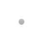 iPad 4 Home Button White