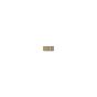 iPad Air 2 Touch Coil (L4001)