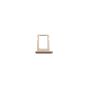 iPad Pro 12.9 1st Gen Sim Tray Gold