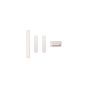 iPhone 12 Pro / 12 Pro Max Side Buttons (Power / Volume / Switch) Silver