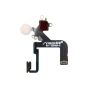 iPhone 12  Pro Flashlight Flex