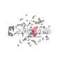 iPhone X Screw Set White