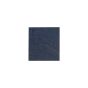iPhone XS / XS Max / XR / 11 / 11 Pro / 11 Pro Max / 12 / 12 Pro / 12 Pro Max / 12 Mini Small Audio IC #338S00411 or 338S00494