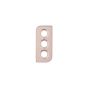Samsung S21 Plus Back Camera Lens + Bezel Pink