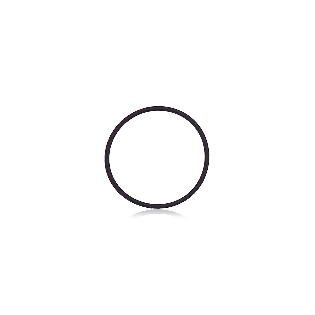 iPhone 13 Pro / 13 Pro Max Back Camera Lens O-Ring Gasket (100 Pack)
