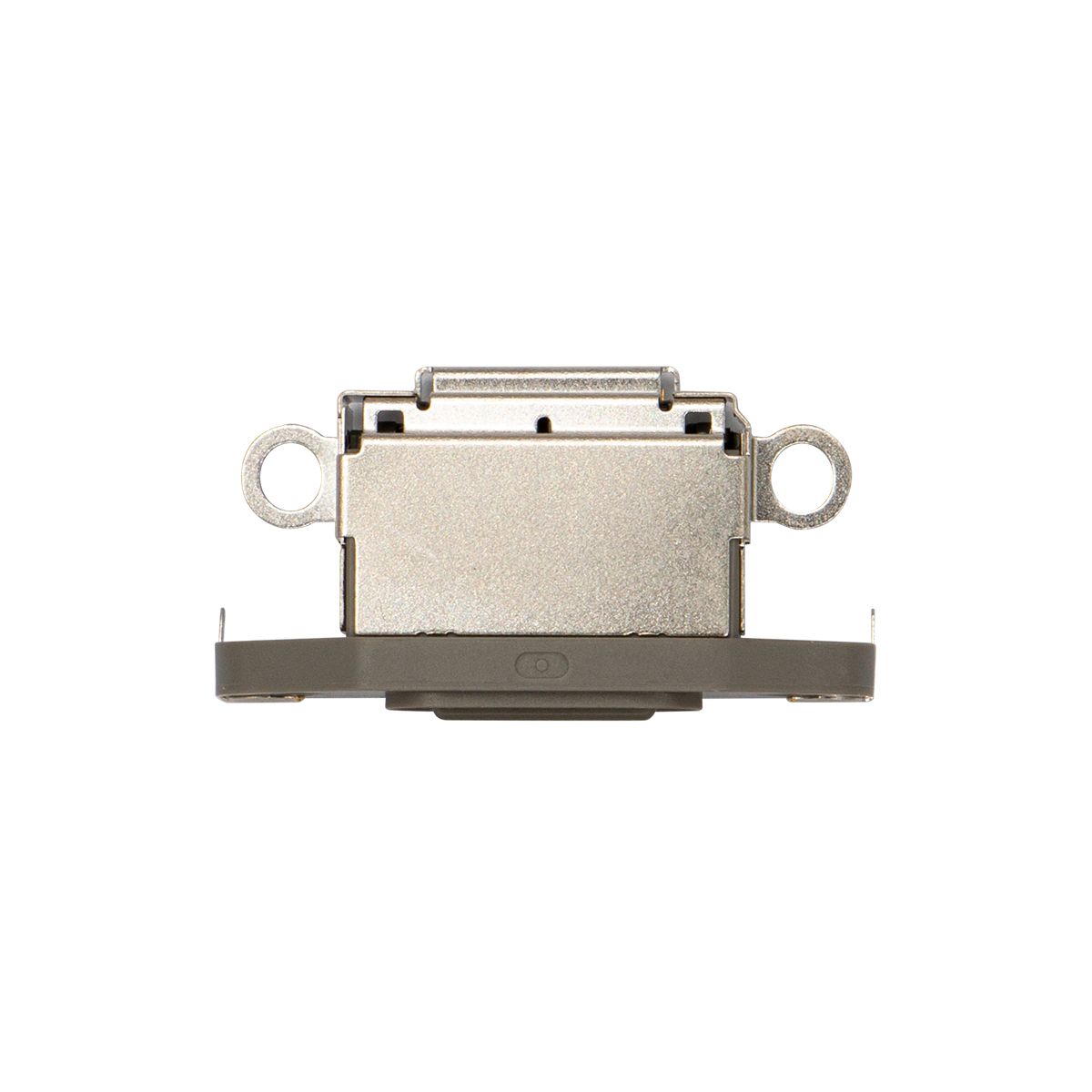 iPhone 15 Pro / 15 Pro Max Charging Port (Natural Titanium) - 10 Pack