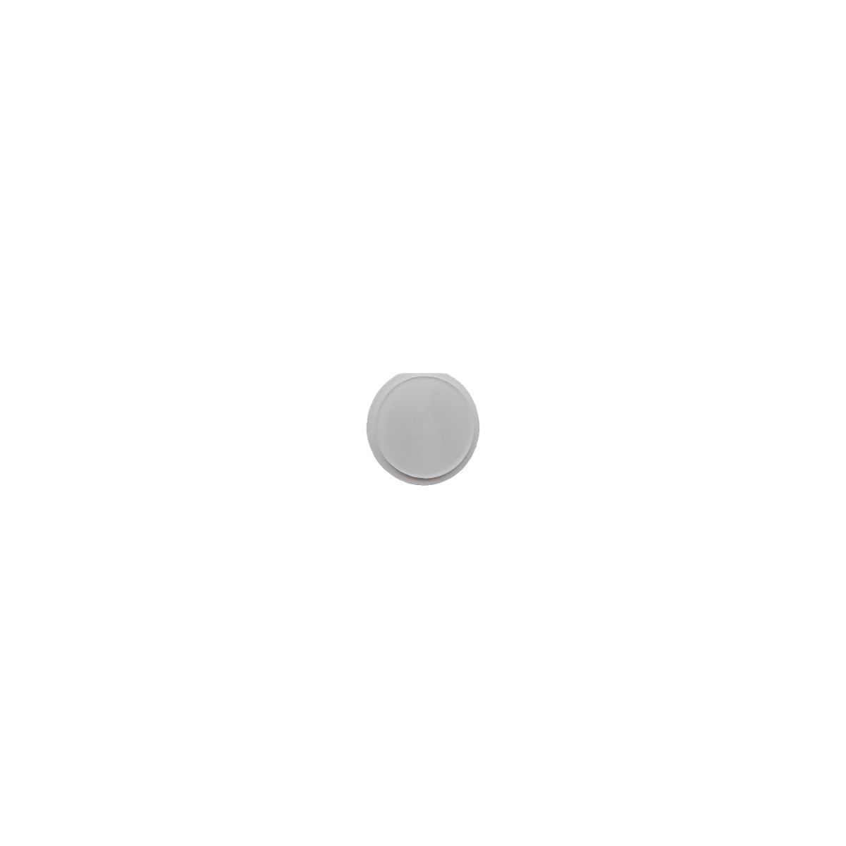 iPad 4 Home Button White