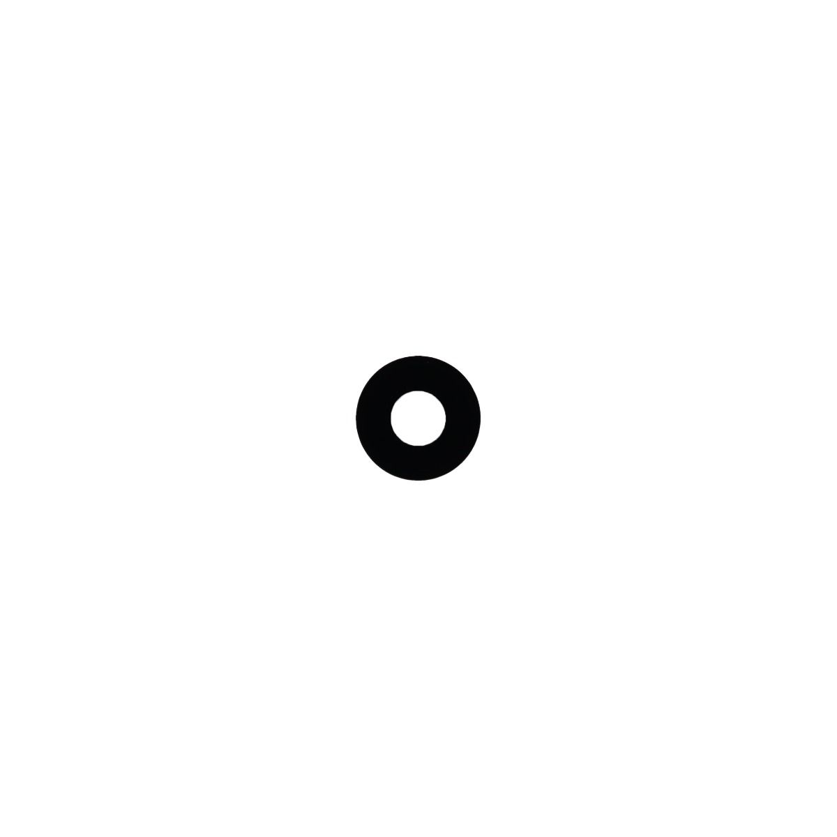 LG Stylo 4 Plus / Stylo 4 Back Camera Lens